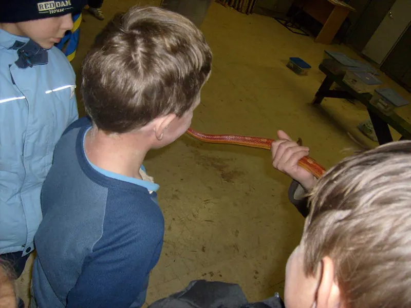 Cub's Reptile Evening, photo 7
