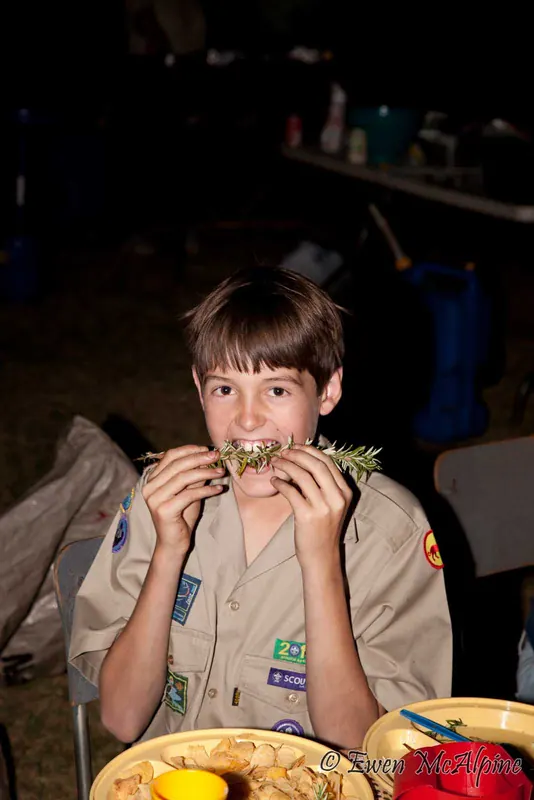Northrand District Cooking Competition 2010, photo 20