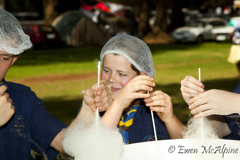 Spring Fete 2010, photo 22