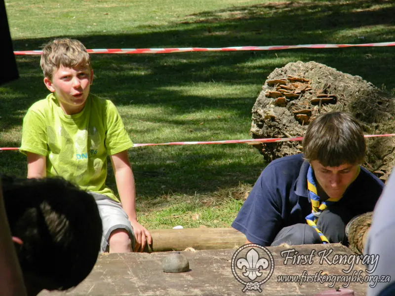 Tyron's Springbok Construction Project, photo 10