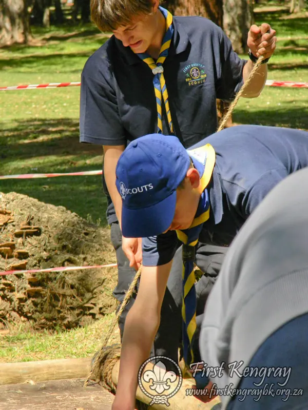 Tyron's Springbok Construction Project, photo 11