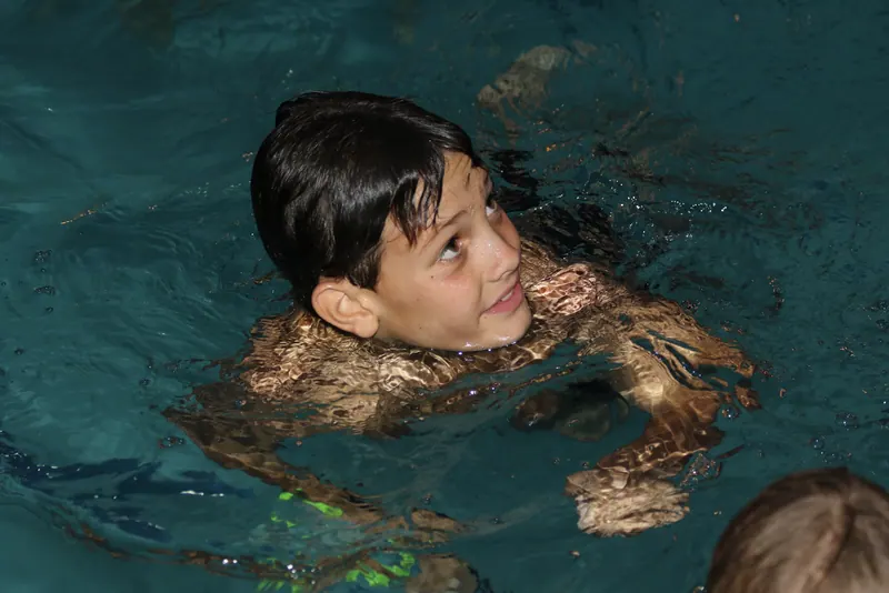 Swimming Badges 2017, photo 15