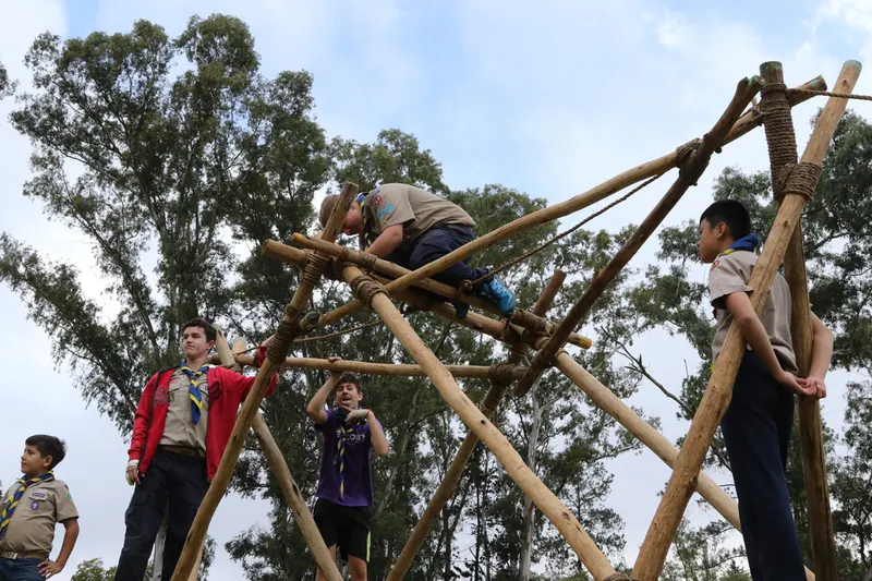 District Pioneering Compo 2019, photo 30