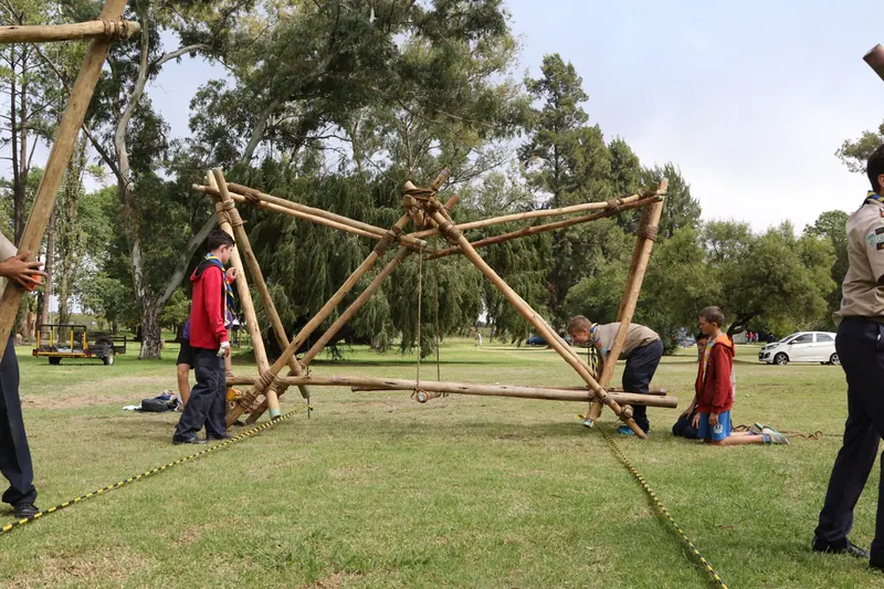 District Pioneering Compo 2019, photo 33