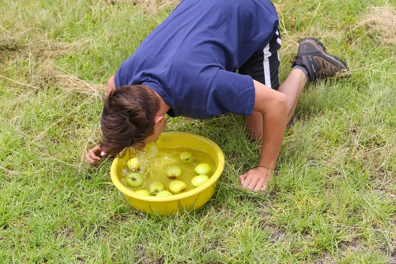 Chris' Springbok Camp, photo 41