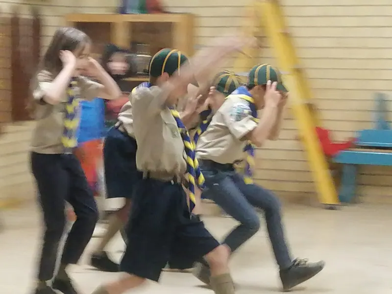 Joseph and Lucas join the cub pack, photo 4