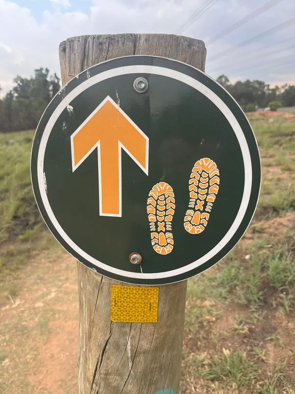Afternoon hike at Modderfontein Nature Reserve, photo 7