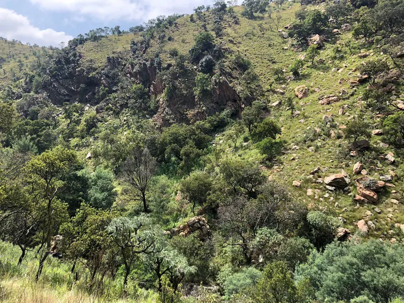 North Rand District climbing event hosted by Kengray, photo 8